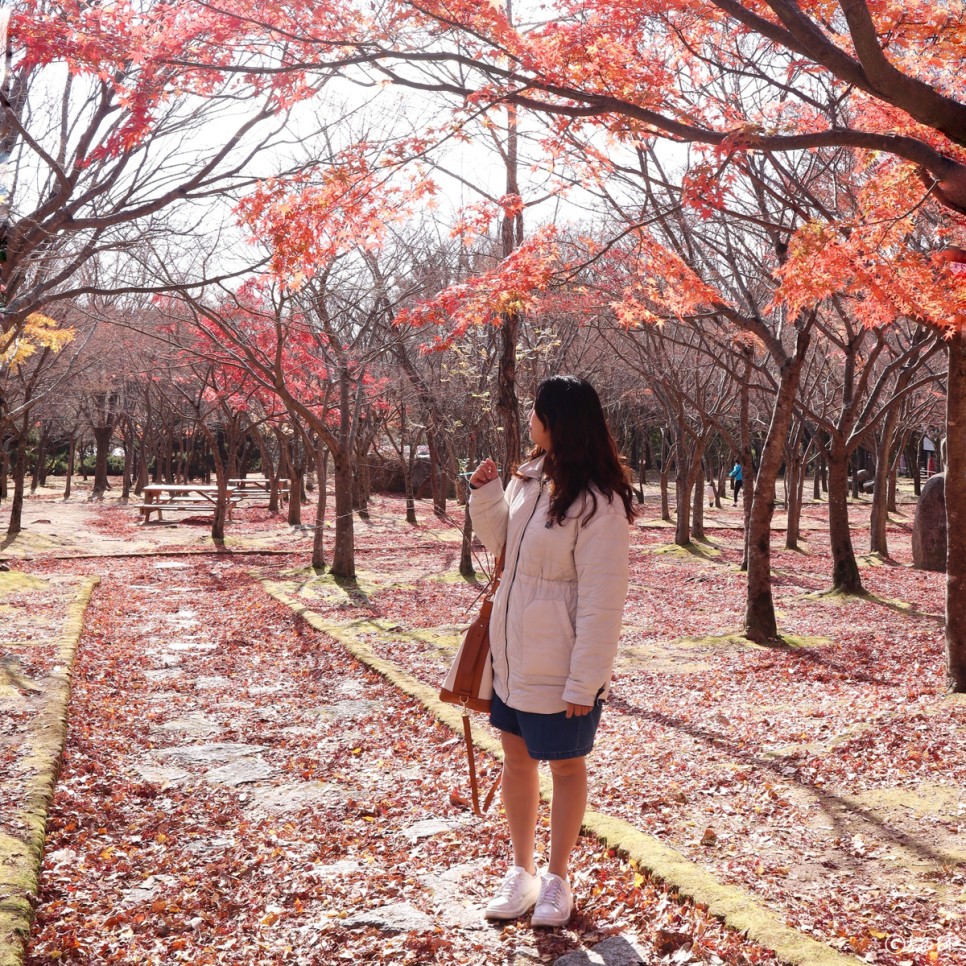 양면 경량패딩 만다리나덕 리버시블 다운셔츠 재킷