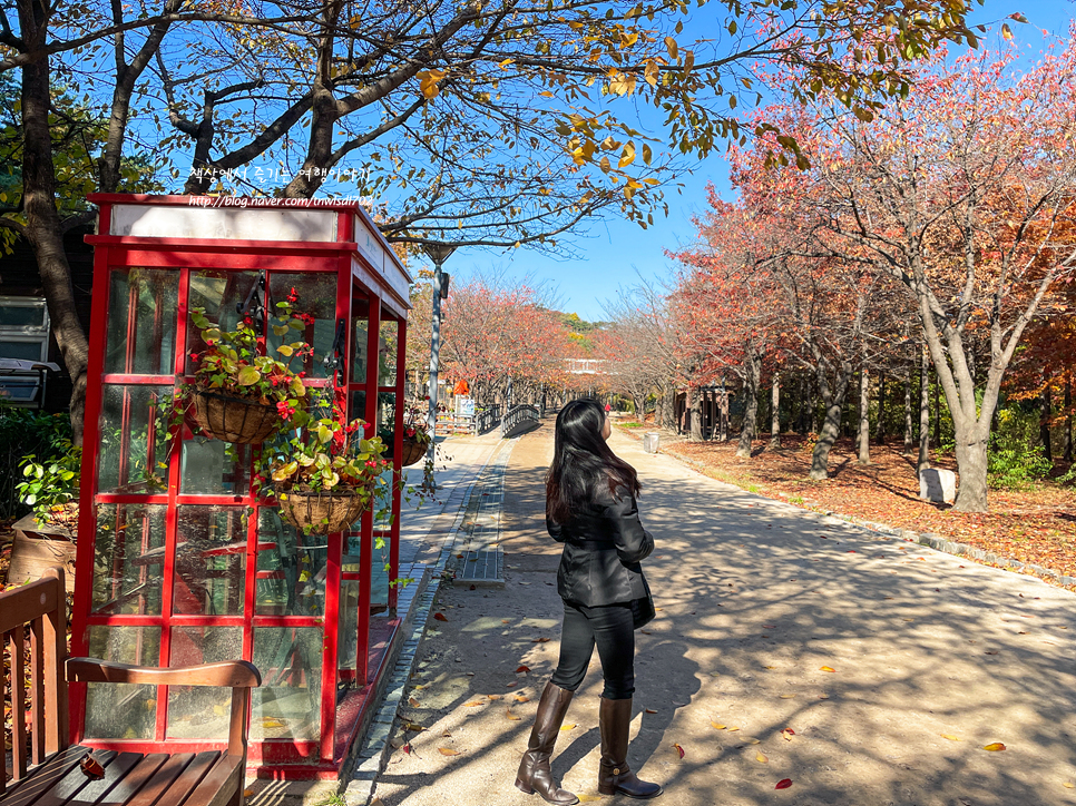 서울숲 단풍구경 사슴과 은행나무길 위치