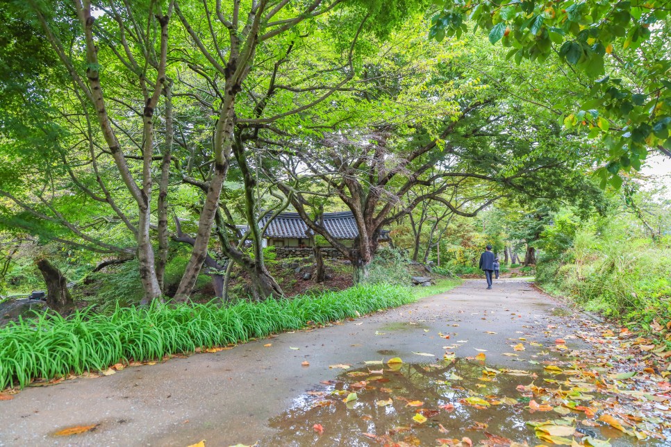 청청 기운을 품은 예천으로 떠나는 여행 :: 회룡포전망대, 장안사, 예천삼강문화단지, 강문화관, 김대기가옥, 금당실전통마을 초간정, 예천진호국제양궁장, 예천 가볼만한곳