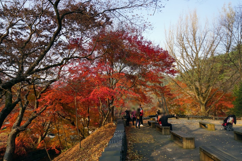 충남 가볼만한곳 공주 마곡사 단풍 아듀