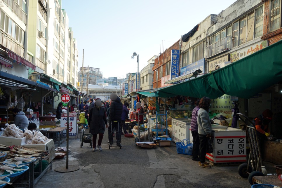 통영 욕지도 배편, 모노레일 여행 코스