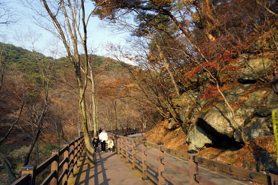 충남 가볼만한곳 공주 마곡사 단풍 아듀