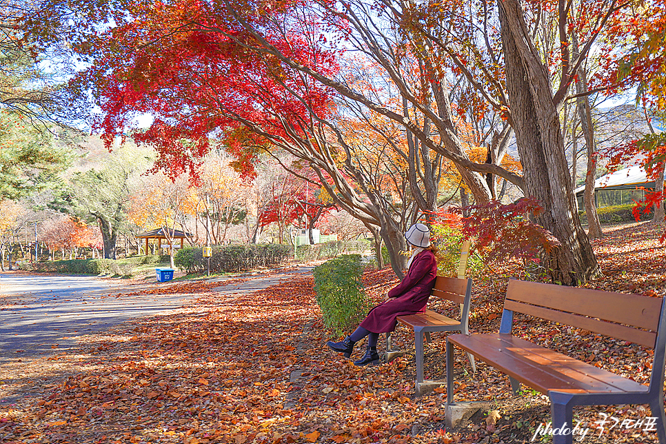 경기도 주말 나들이 가을 여행지 과천 서울대공원 동물원 놀거리
