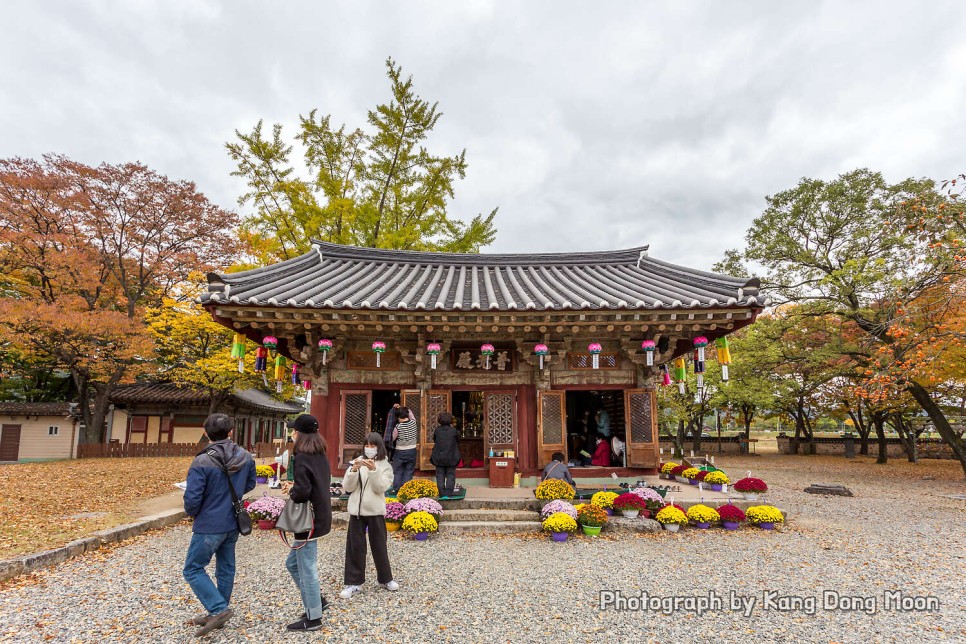 국내 관광지 경주 여행 코스 모전석탑 볼거리 좋은 가볼만한 절 경주 분황사