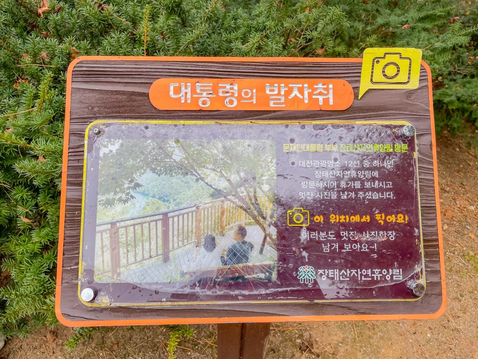 대전가볼만한곳 장태산 자연휴양림 단풍 + 숙박 후기