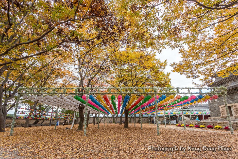 국내 관광지 경주 여행 코스 모전석탑 볼거리 좋은 가볼만한 절 경주 분황사