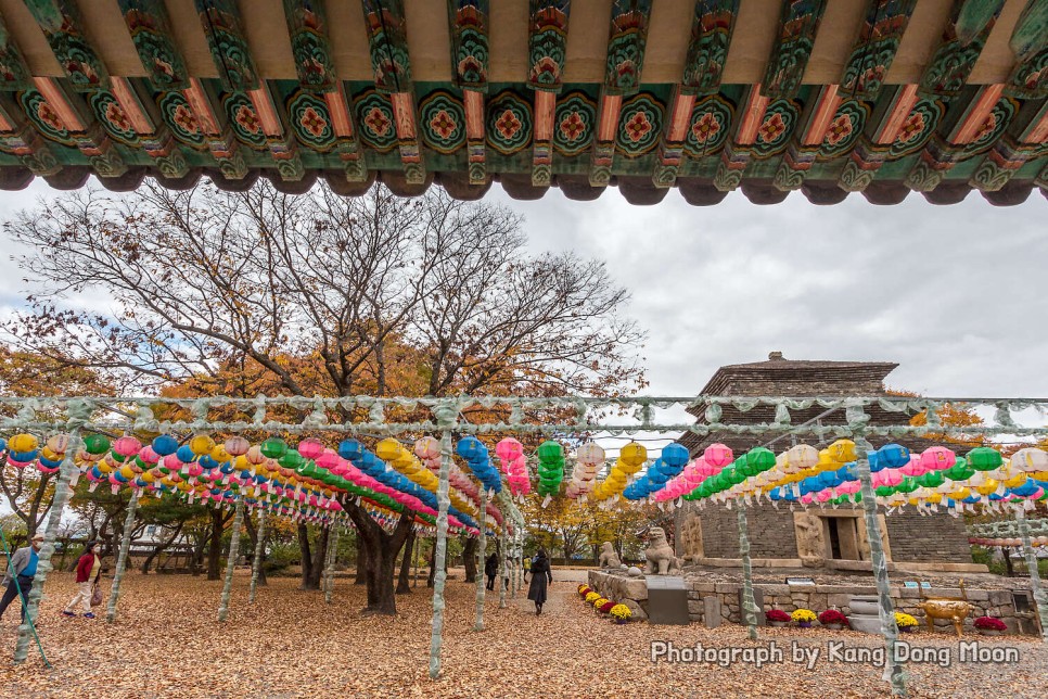 국내 관광지 경주 여행 코스 모전석탑 볼거리 좋은 가볼만한 절 경주 분황사