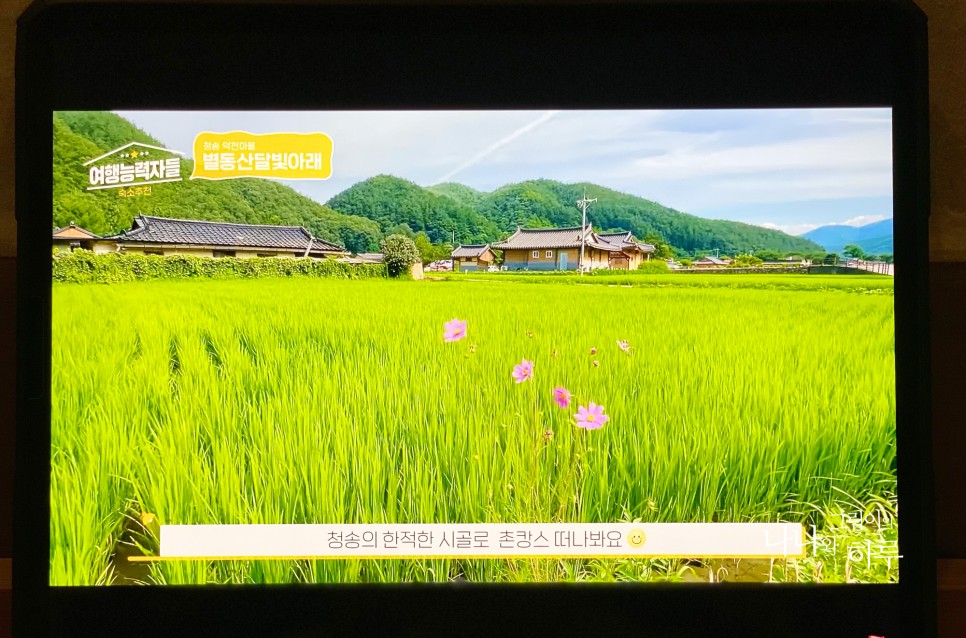 내가 가진 국내여행정보 여행능력자들 속에!? 여행자 파트너 제휴정보