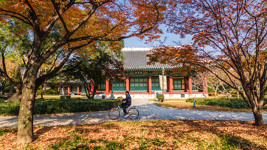 대구 가볼만한곳 북성로 여행코스 구석구석(툴스 앤 댄스 공연 포함 BEST5)