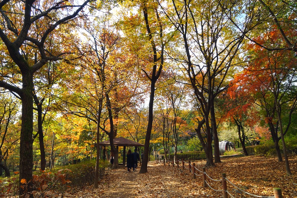 서울 가볼만한곳 효창공원 100년의 기억을 찾다