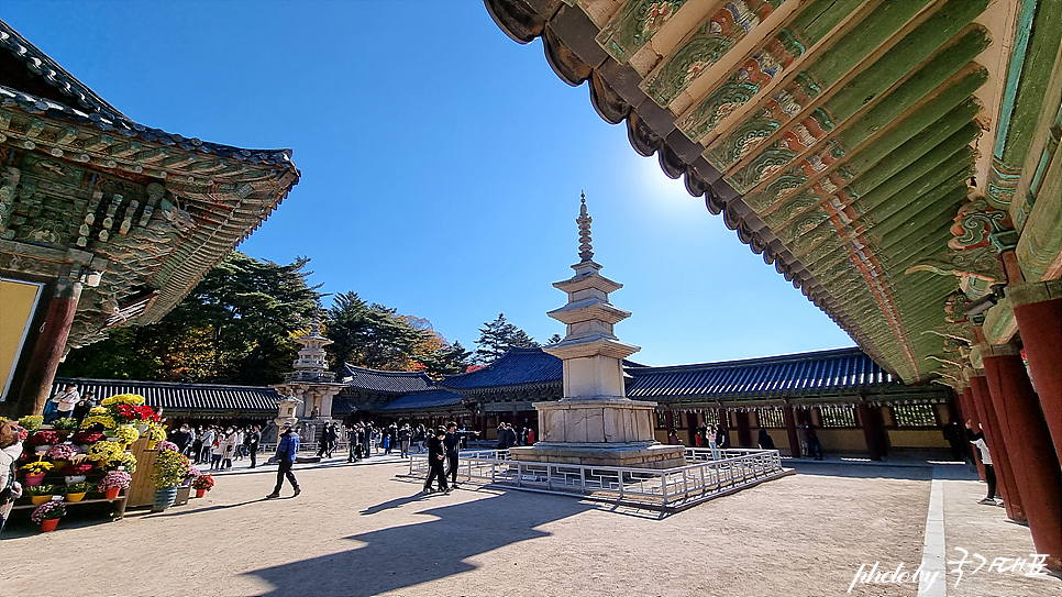 가을 단풍 명소 경주 불국사 단풍 볼거리 경주역사여행