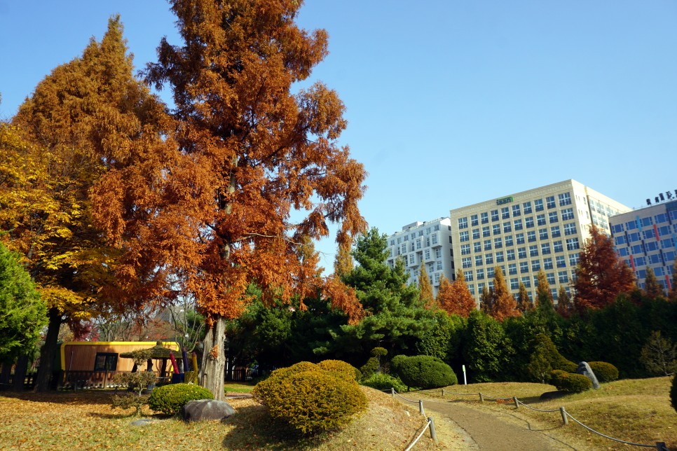 서울 근교 당일치기 오산 물향기수목원 단풍 나들이