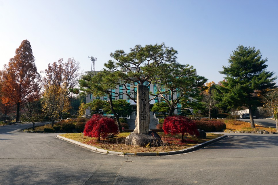 서울 근교 당일치기 오산 물향기수목원 단풍 나들이