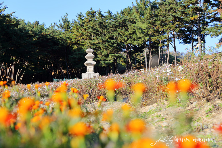 경주 살아숨쉬는 향교서원 사진전 & 서악음악회 여행