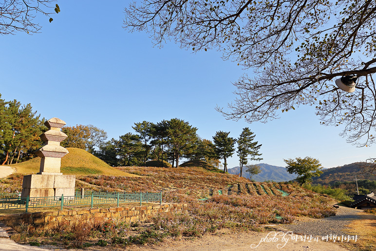 경주 살아숨쉬는 향교서원 사진전 & 서악음악회 여행