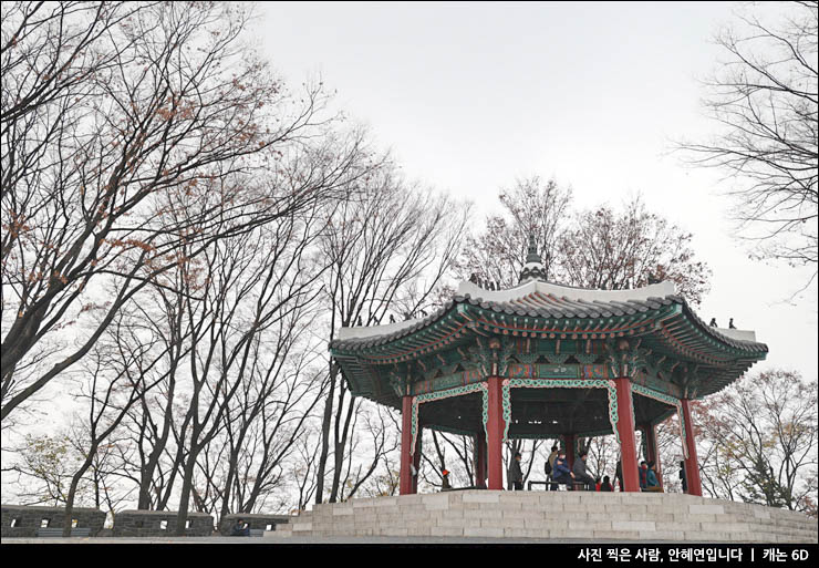 서울 남산 남산타워 전망대 입장료 할인 순환버스 산책로