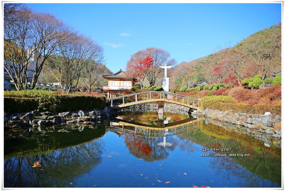 충북 가볼만한곳 제천 여행코스 의림지,옥순봉출렁다리,배론성지