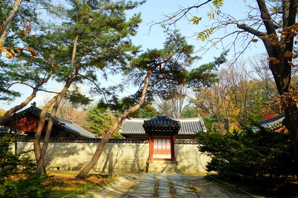 서울 여행 당일치기 산책하기 좋은 곳 가을 단풍명소 종묘