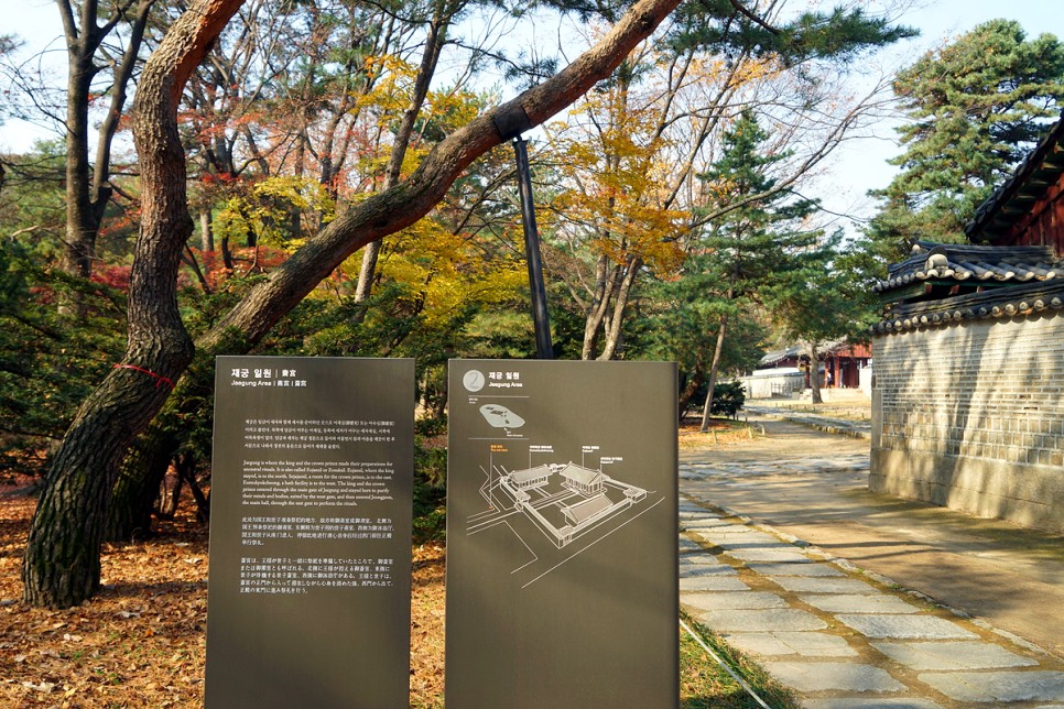 서울 여행 당일치기 산책하기 좋은 곳 가을 단풍명소 종묘