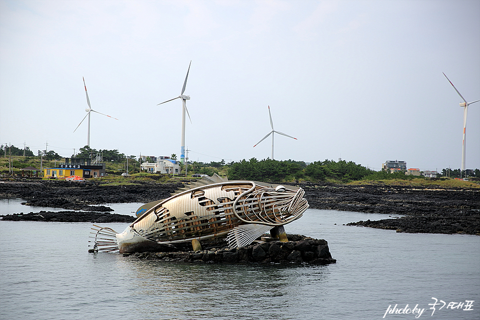 제주도 여행 11월 신창풍차해안도로 제주 쇠소깍 카약 놀거리