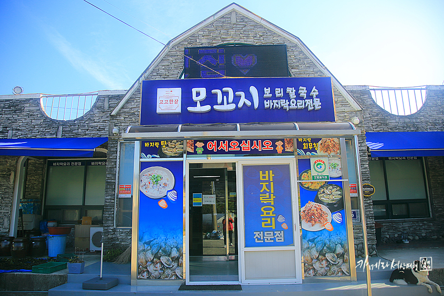 전북 고창 가볼만한곳 단풍 여행 드라이브~텃밭쌈밥웰빙식당&모꼬지함초바지락 요리 전문점