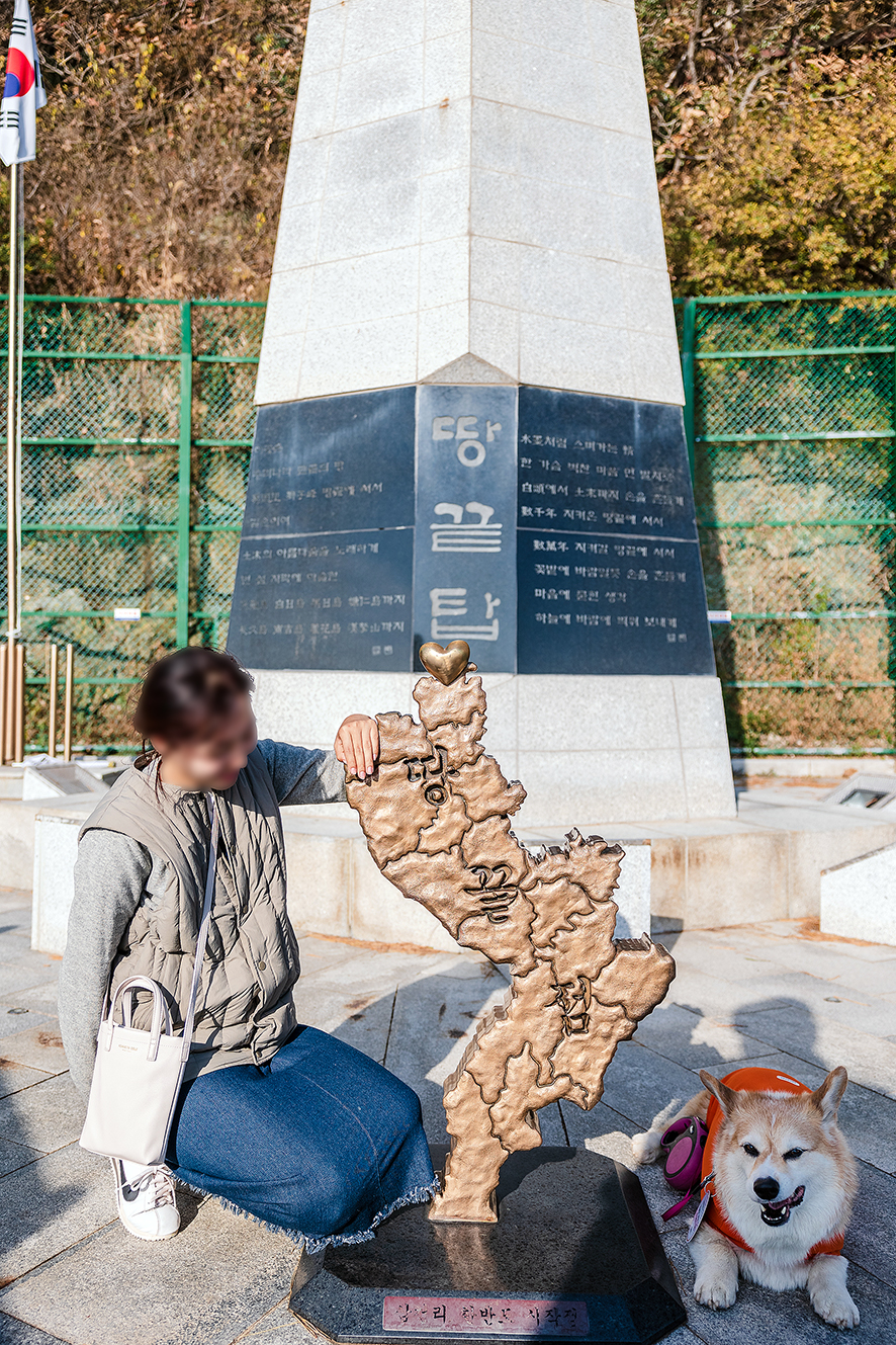 반려견과 함께 떠난 전남 해남 가볼만한곳(2021 생태캠핑 in 해남)