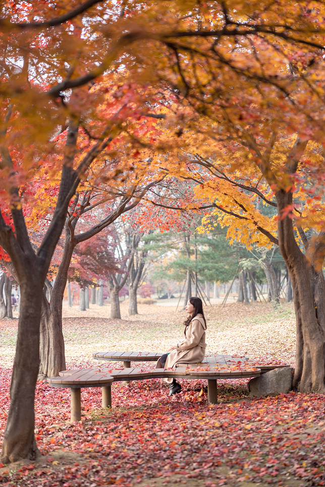 서울근교 데이트 나들이 하남 미사경정공원 끝나지 않은 단풍 산책