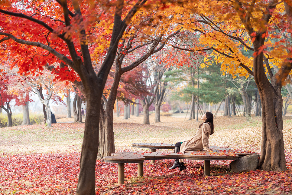 서울근교 데이트 나들이 하남 미사경정공원 끝나지 않은 단풍 산책