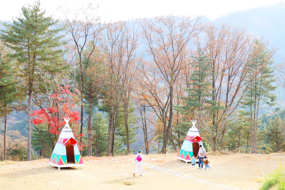 홍천 가볼만한곳 알파카월드 아이와 함께 강원도 여행지 추천