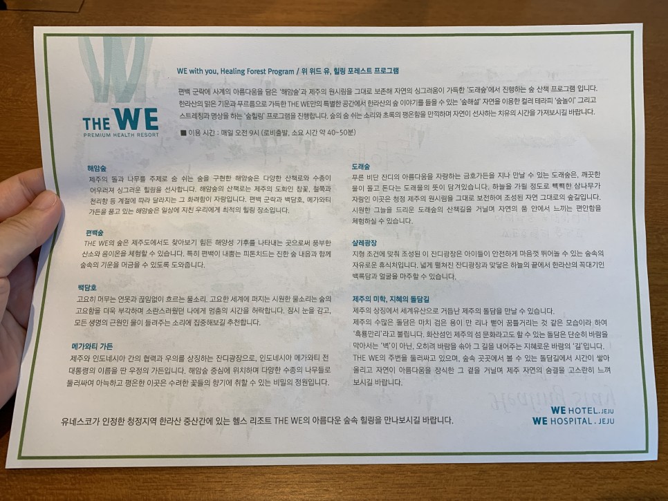 제주도 호텔 숲캉스하기 좋은 WE호텔 제주