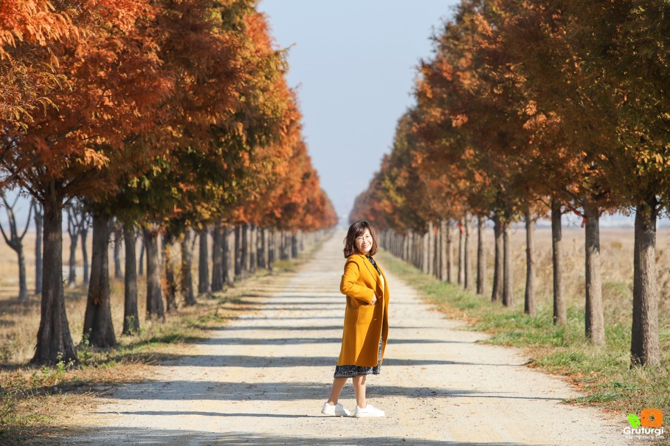 서울근교 당일치기 여행 대부 바다향기 테마파크 대부도 여행 코스