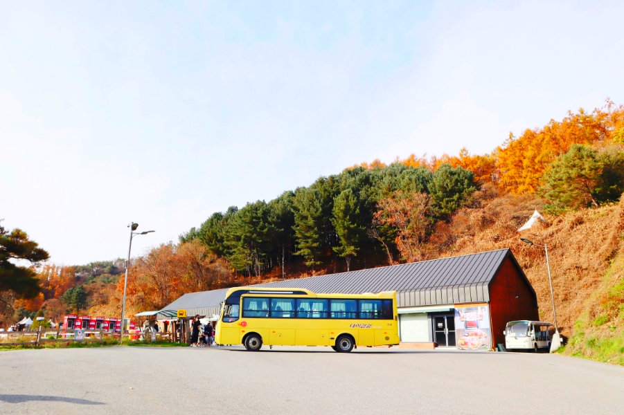 홍천 가볼만한곳 알파카월드 아이와 함께 강원도 여행지 추천