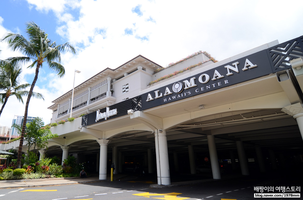 하와이 알라모아나 호텔 추천, 리조트피 없는 가성비 / 쇼핑최적 숙소