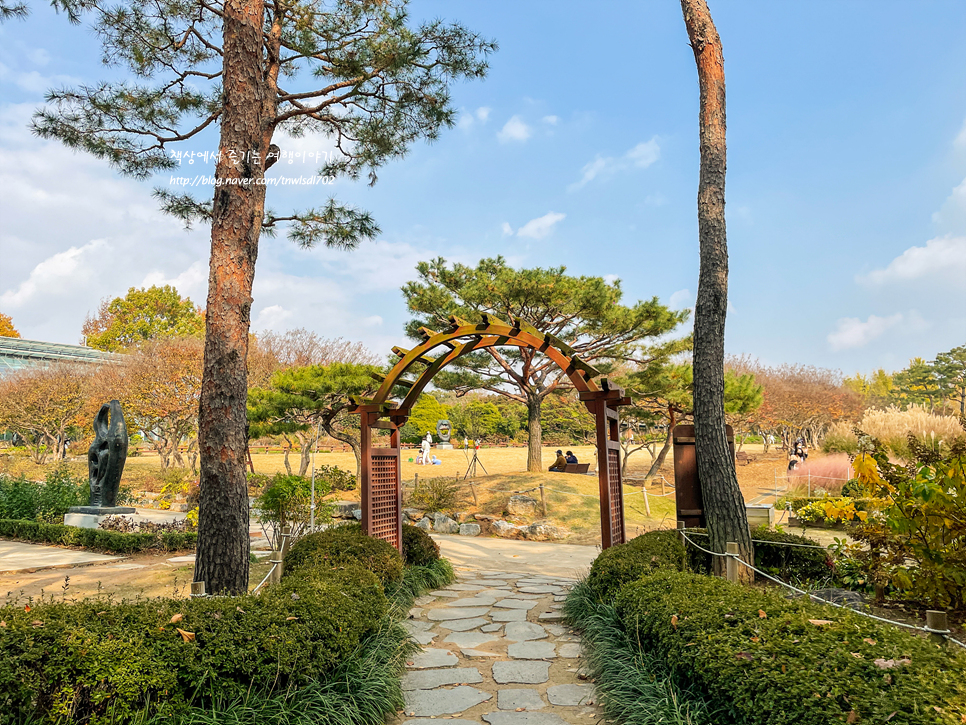 한국 도로공사 전주수목원 단풍 은행나무 포토존