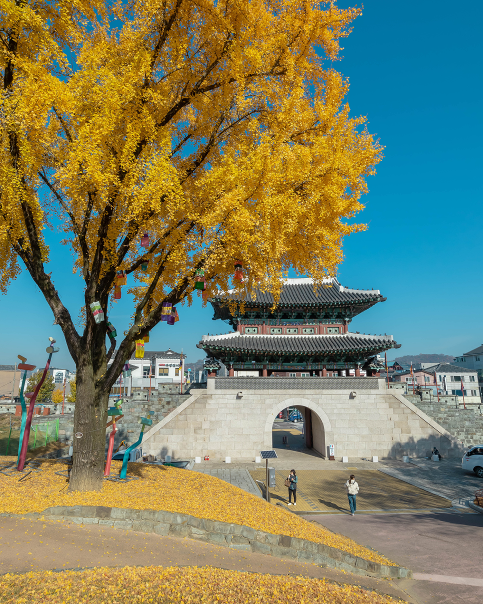 진주 가볼만한곳 진주 유등축제, 진주성, 남가람공원 12월 축제