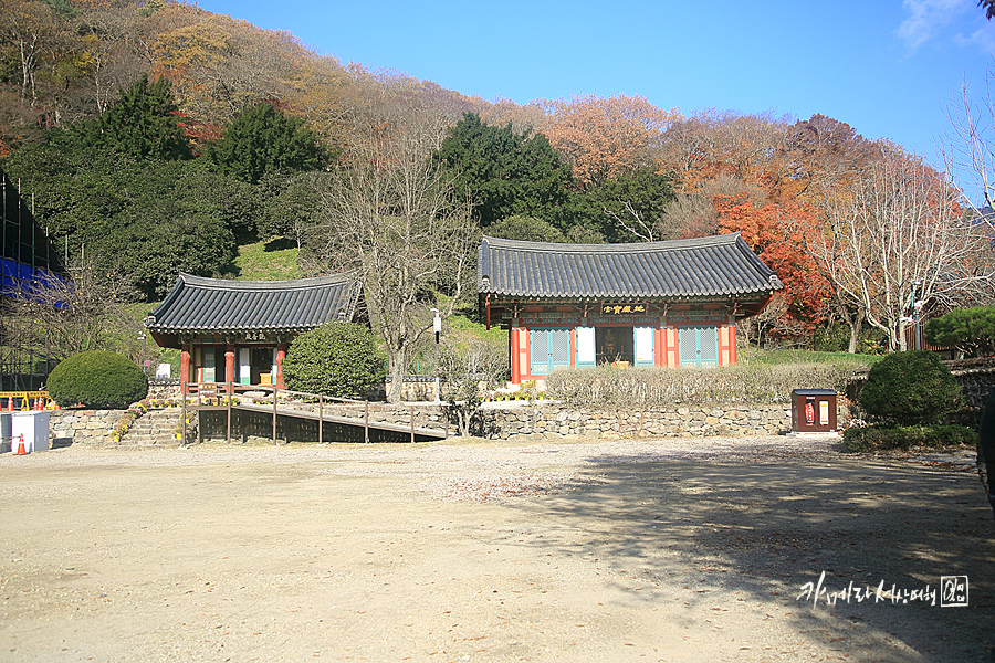 국내 당일치기 여행 고창 선운사 단풍 절정 선운산 도립공원