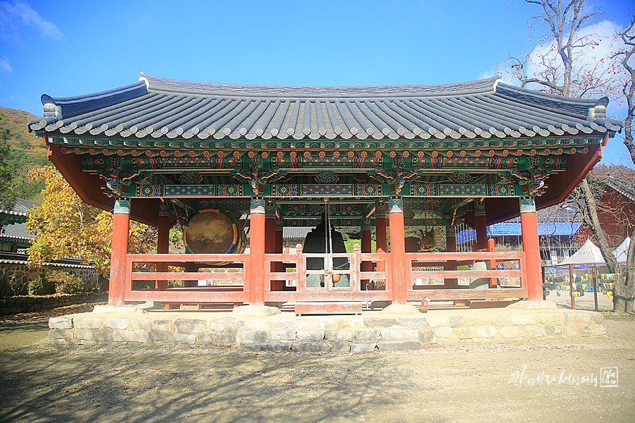 국내 당일치기 여행 고창 선운사 단풍 절정 선운산 도립공원