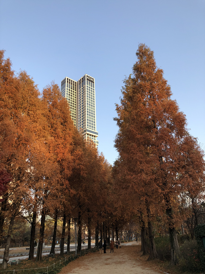 성수동 가볼만한곳 서울숲 공원 놀거리 피크닉 하기 좋아요!
