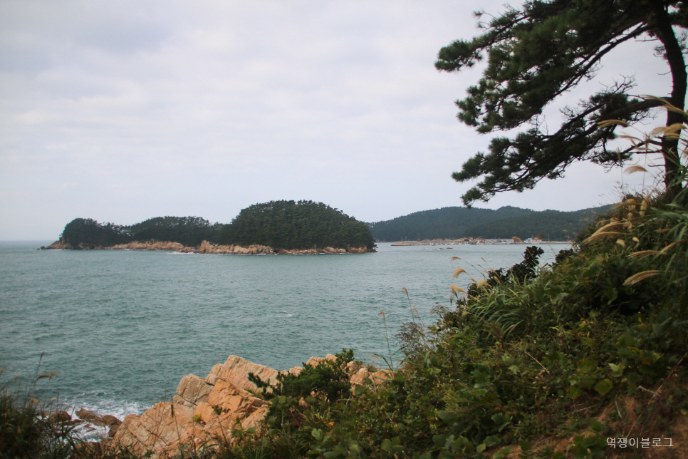 충남 태안 가볼만한곳 서해 여행 천리포수목원 포함 4곳