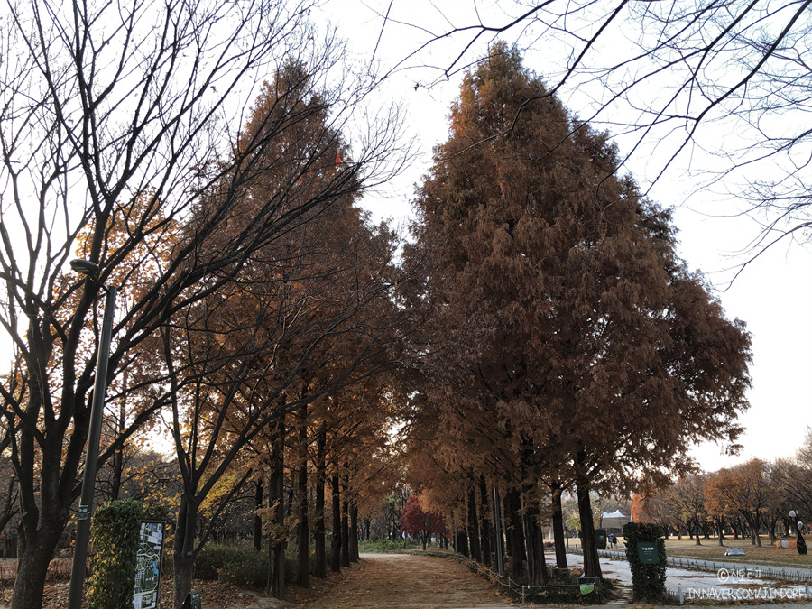 성수동 가볼만한곳 서울숲 공원 놀거리 피크닉 하기 좋아요!