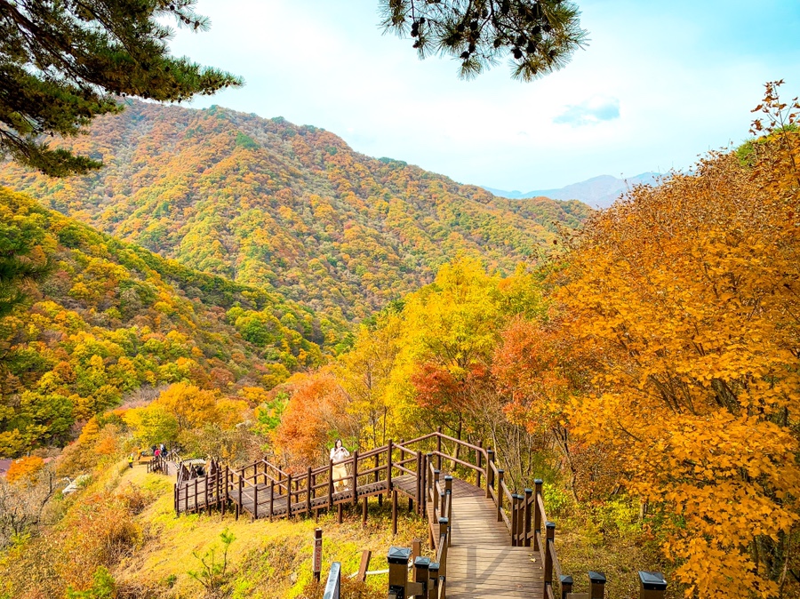 드라마 '지리산' 촬영지, 이야기가 있는 남원 :: 화인당, 광한루원, 남원시립김병종미술관, 구서도역영상촬영장, 지리산천년송, 지리산뱀사골탐방안내소, 남원 가볼만한곳