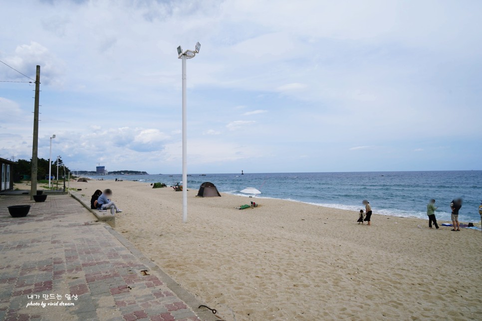 강릉 1박2일 여행코스 해파랑길따라 안목해변 시작 사천진해수욕장 순긋해변 대영유통 대게먹방 마무리