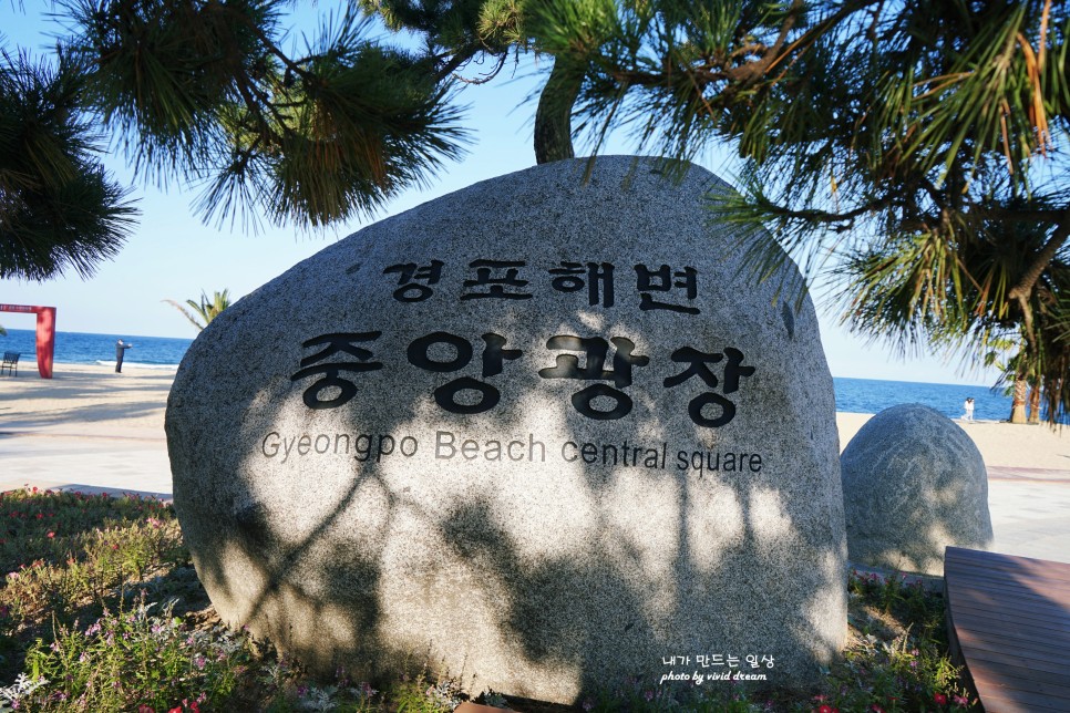 강릉 1박2일 여행코스 해파랑길따라 안목해변 시작 사천진해수욕장 순긋해변 대영유통 대게먹방 마무리