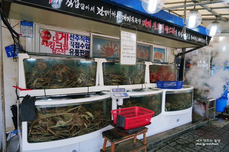 강릉 1박2일 여행코스 해파랑길따라 안목해변 시작 사천진해수욕장 순긋해변 대영유통 대게먹방 마무리