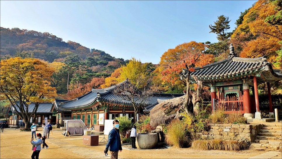 가을 나들이 인천 강화도 볼거리 전등사!