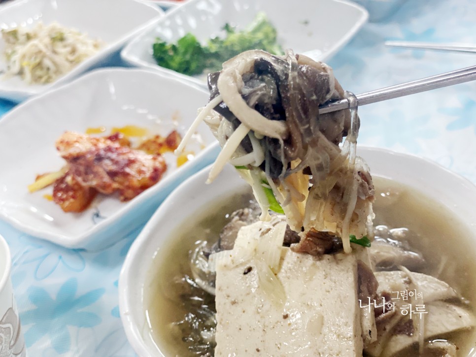 충북 제천 여행 가볼만한곳, 옥순봉 출렁다리 든든한 먹거리 까지!