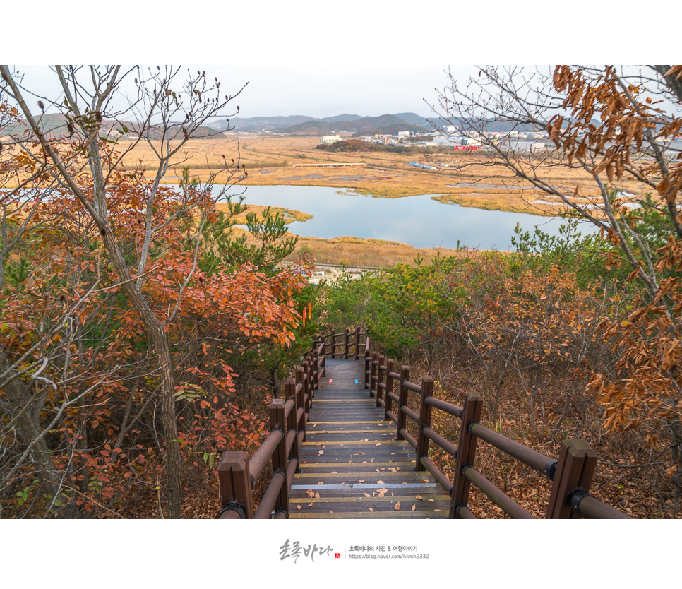 서울 근교 여행 안산 대부도 광산퇴적암층