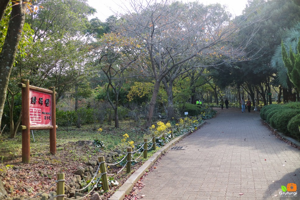 제주공항근처 가볼만한곳 제주 동문시장 야시장 외 볼거리