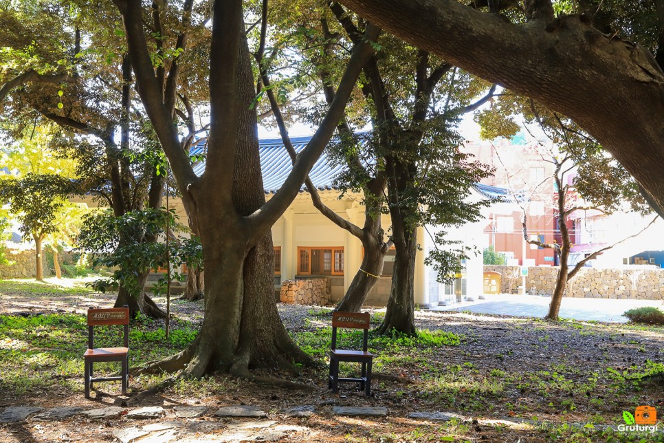 제주공항근처 가볼만한곳 제주 동문시장 야시장 외 볼거리