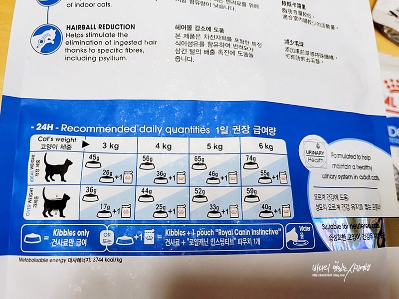 새끼고양이사료 급여부터 3살 성묘가 된 지금까지 로얄캐닌과 함께하는 중인 사계절냥이들